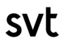 major-minor-custommers-svt